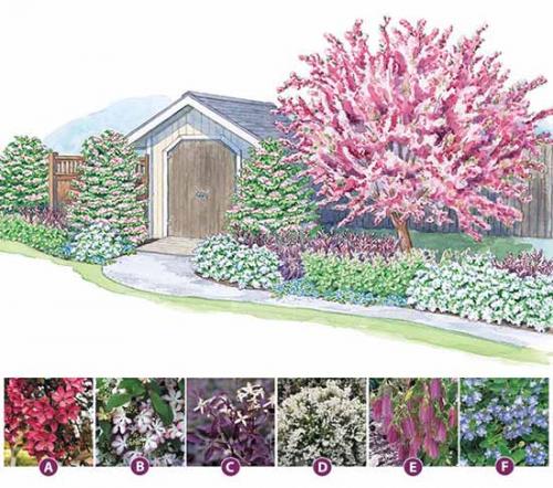 Готовые схемы цветников для начинающих. Как сделать красивую клумбу: 15 схем для цветника