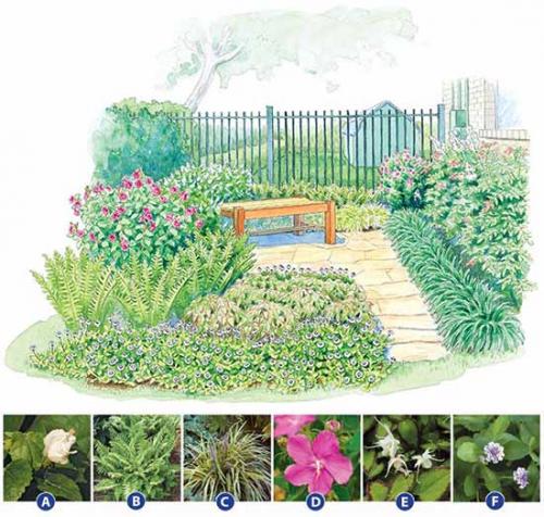 Готовые схемы цветников для начинающих. Как сделать красивую клумбу: 15 схем для цветника