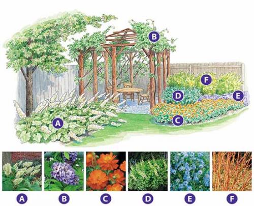 Готовые схемы цветников для начинающих. Как сделать красивую клумбу: 15 схем для цветника