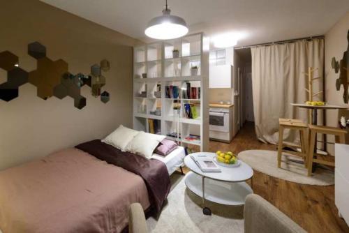 Идеи и варианты зонирования однокомнатных квартир. Способы зонирования