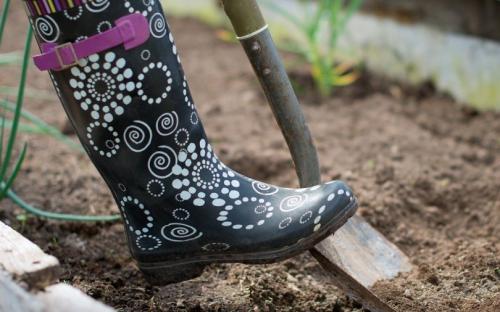 Нужно ли перекапывать газон. Перекапывание