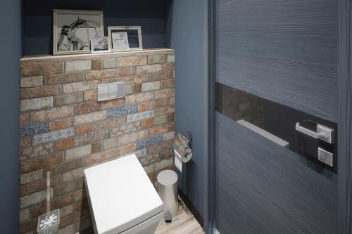 Ремонт в туалете идеи. Как выбрать дизайн туалета