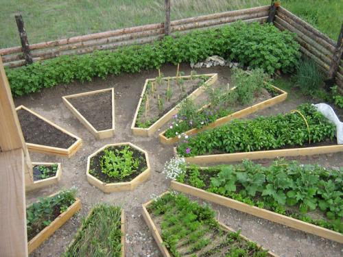 Красивый огород в частном доме. Как устроить красивый огород в частном доме с грядками (29 фото)