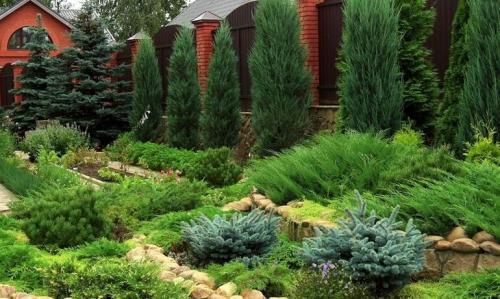 Как правильно спланировать дачный участок: советы и рекомендации 06