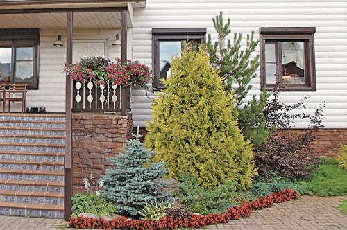 Как оформить вход на дачный участок. Первое впечатление. Советы дизайнера по благоустройству входной зоны сада