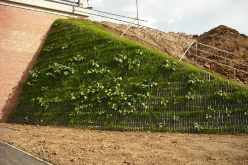 Как использовать вертикальное пространство на участке. Где применяется