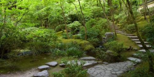 Как совместить функциональность и эстетику в планировке участка. Планировка участка и границы зон