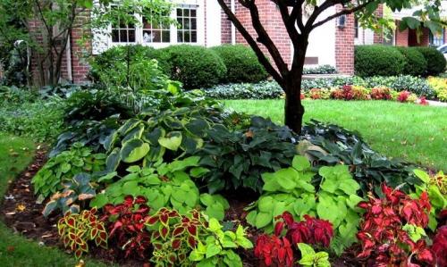 Как правильно спланировать дачный участок: советы и рекомендации 07