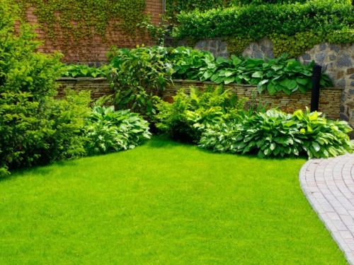 Газонная трава для ленивых. Подбор травы для газона 07 Газонная трава для ленивых. Подбор травы для газона 07