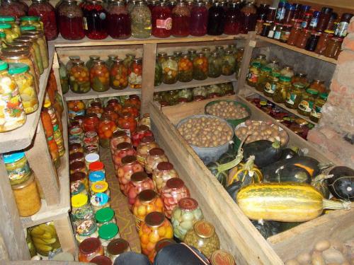 Как правильно построить погреб своими руками.