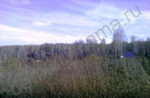 С чего начать планировку дачного участка: 25 лучших проектов 06