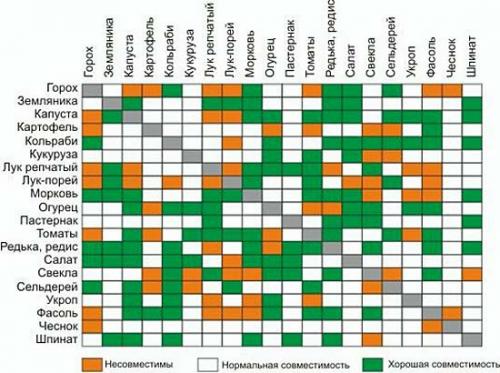Как совместить сад и огород на маленьком участке. Секреты размещения огорода на небольшом участке