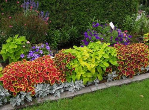 Как распланировать участок под сад и огород. Планировка участка с садом, огородом, теплицей и ягодником