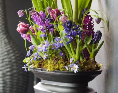 Клумба из тюльпанов и крокусов. Многослойные посадки луковичных первоцветов в одном кашпо в закладки 11