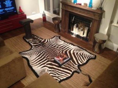 Какие цвета и оттенки пола по лагам можно использовать в комнате. Общие рекомендации по выбору цвета пола