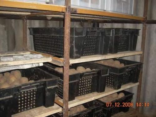 Строительство погреба в частном доме. Изготовление подземного погреба пошагово