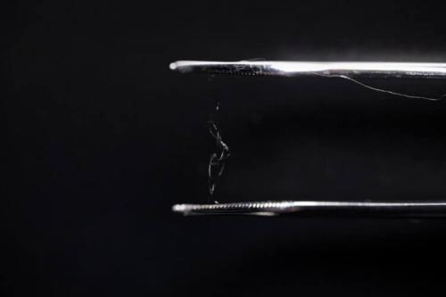 Есть ли альтернативные материалы, которые можно использовать. Найдена альтернатива пластику, которая не наносит ущерба природе