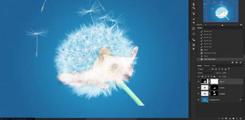 Как сделать ёжика из пластиковой бутылки и шишек: простая поделка своими руками 26 Как сделать ёжика из пластиковой бутылки и шишек: простая поделка своими руками 26