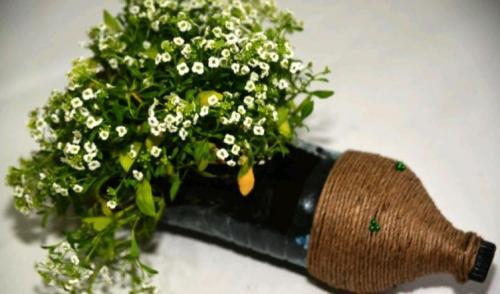 Сделай декор ежика из пластиковой бутылки: простая мастер-класс 35