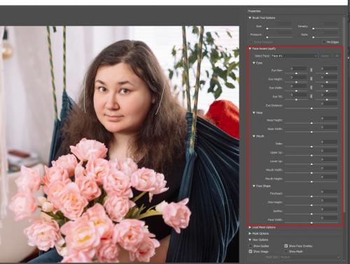 Как добавить дополнительные детали, например, глаза или нос. Как использовать Пластику, чтобы результат выглядел естественно