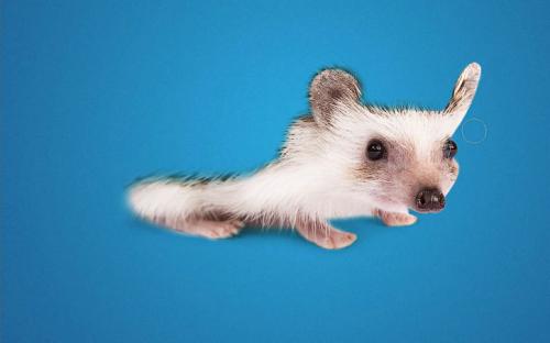 Как сделать ежика своими руками из пластиковых бутылок: пошаговая инструкция 30 Как сделать ежика своими руками из пластиковых бутылок: пошаговая инструкция 30