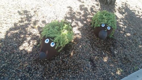 Какие варианты украшения ежика из пластиковой бутылки существуют. Забавные ёжики для украшения участка. Кашпо для клумбы из пластиковой бутылки