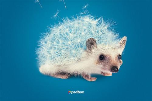 Как сделать ежика своими руками из пластиковых бутылок: пошаговая инструкция 22 Как сделать ежика своими руками из пластиковых бутылок: пошаговая инструкция 22