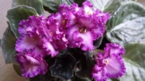 Как сделать ежика своими руками из пластиковых бутылок: пошаговая инструкция 02