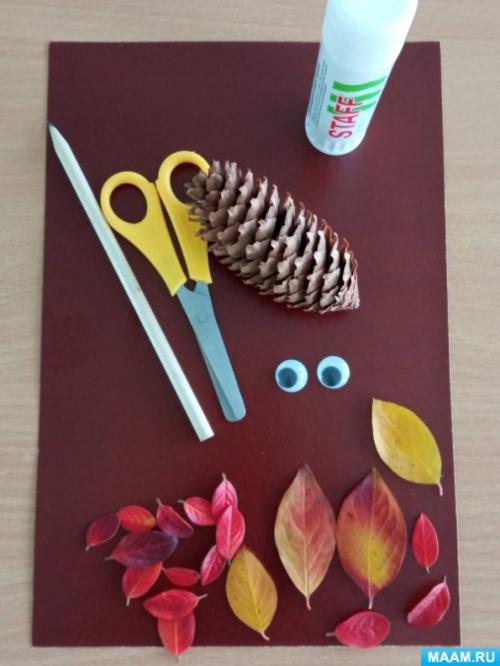 Можно ли использовать другие материалы вместо шишек для создания ежика. Мастер-класс «Ёжик» из картона с использованием шишки и листьев (6 фото)