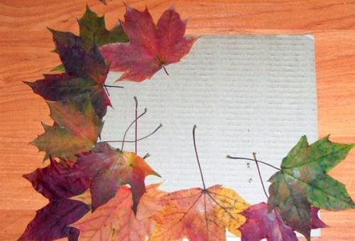 Как выбрать подходящую пластиковую бутылку для ёжика. Милый еж на поляне