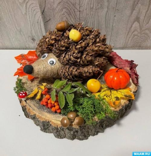 Какова цель создания ёжика из пластиковой бутылки. Конструирование из шишек «Ёжик»