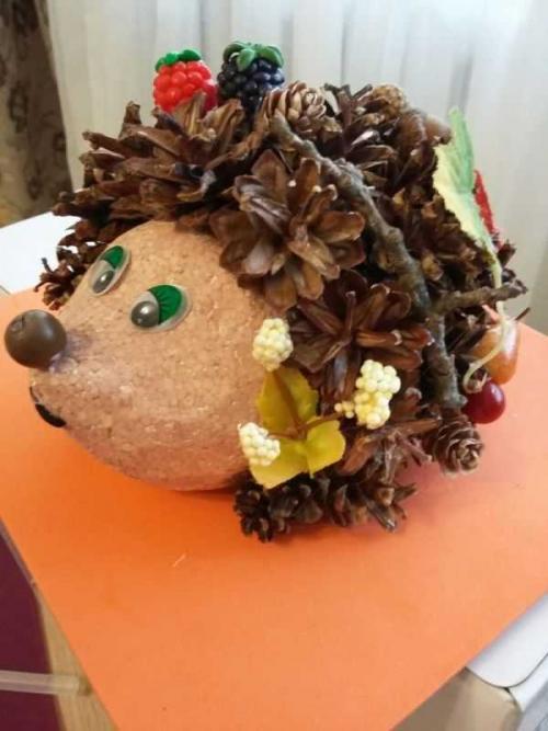 Какие дополнительные детали можно добавить к ежику. Ёжик из шишек