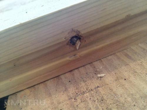 Настил деревянного пола своими руками. Порядок выполнения работ 07