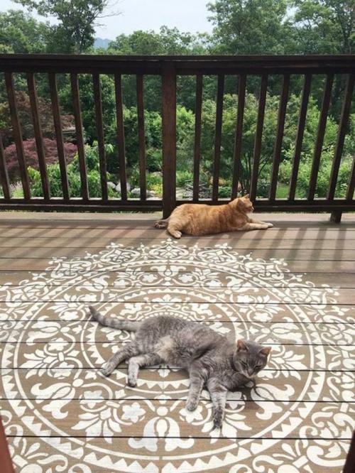 Деревянный пол рисунок. Как создать узоры на полу: креативные идеи окрашивания и 42 примера