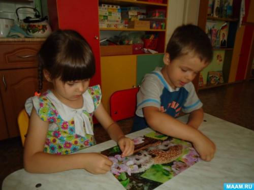 Как собрать ёжика из подготовленных деталей. Детский мастер класс по конструированию из бросового материала «Ёжик» (19 фото)