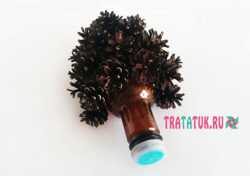 Как сделать ёжика из пластиковой бутылки. Забавный ежик из шишек и пластиковой бутылки: пошаговая инструкция