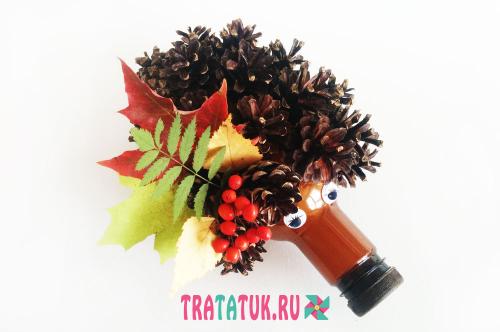 Как сделать ёжика из пластиковой бутылки. Забавный ежик из шишек и пластиковой бутылки: пошаговая инструкция