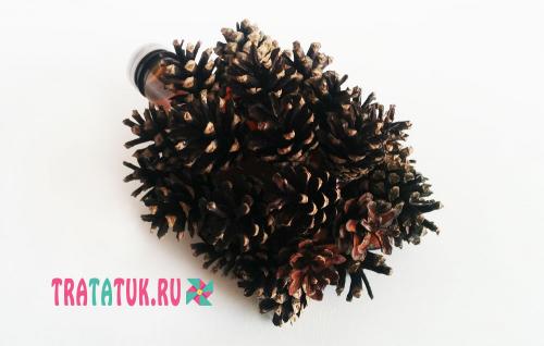 Как сделать ёжика из пластиковой бутылки. Забавный ежик из шишек и пластиковой бутылки: пошаговая инструкция