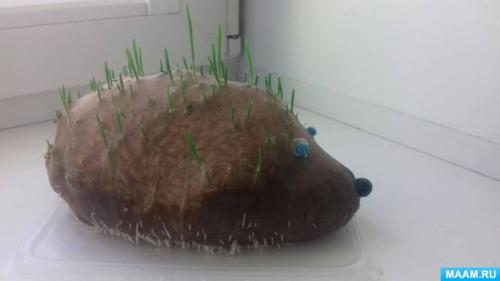 Как сделать усы для ежика и как их закрепить. Мастер класс по изготовлению ёжика-травянчика
