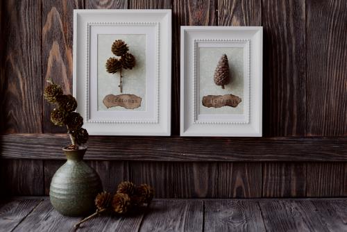 Как подготовить шишки для поделки. Советы по сбору, обработке и хранению шишек