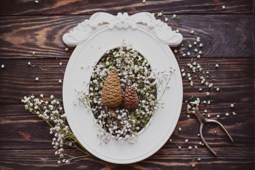 Как подготовить шишки для поделки. Советы по сбору, обработке и хранению шишек