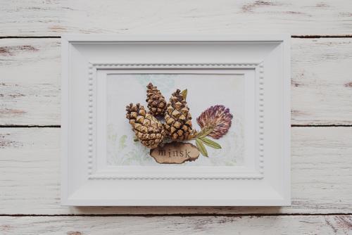 Как подготовить шишки для поделки. Советы по сбору, обработке и хранению шишек