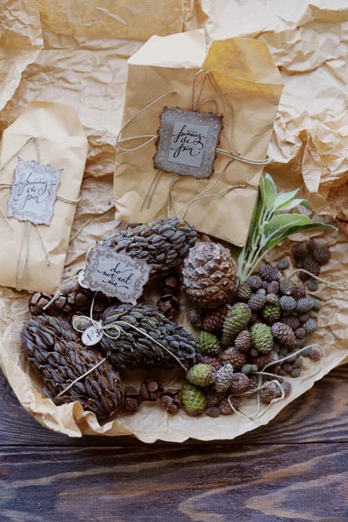 Как подготовить шишки для поделки. Советы по сбору, обработке и хранению шишек