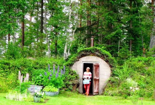 Погреб на собственном участке. Дача по науке: как организовать погреб на участке для хранения консервации и овощей