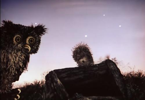 Из 5 литровой бутылки ежик. Настоящий смысл мультфильма Ёжик в Тумане