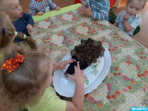Какие основные шаги в создании ёжика из бутылки. Совместный мастер-класс по изготовлению поделки из шишек и пластиковой бутылки «Ежик на лесной полянке»