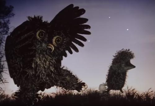 Из 5 литровой бутылки ежик. Настоящий смысл мультфильма Ёжик в Тумане