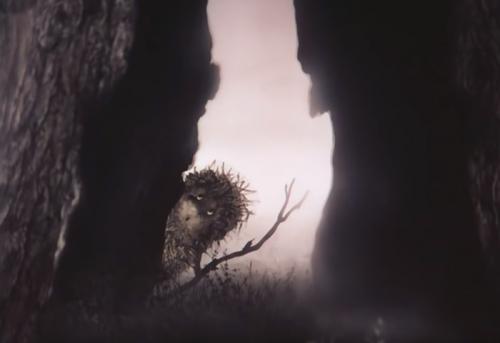 Из 5 литровой бутылки ежик. Настоящий смысл мультфильма Ёжик в Тумане