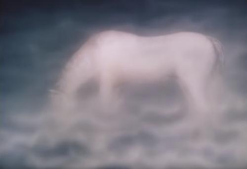 Из 5 литровой бутылки ежик. Настоящий смысл мультфильма Ёжик в Тумане