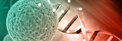 Темы научного исследования примеры. Темы научно-исследовательских работ для студентов